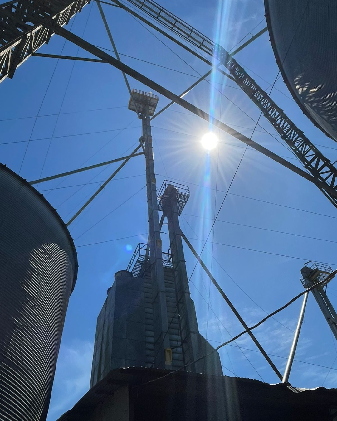 Design sem nome (14)